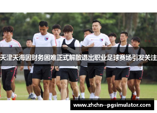 天津天海因财务困难正式解散退出职业足球赛场引发关注